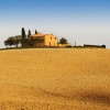 La Cassazione sul riconoscimento della ruralita' dei fabbricati strumentali