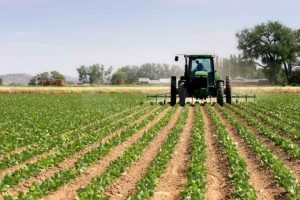 imu terreni agricoli2